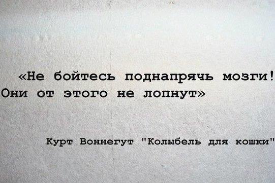   | Business Book - 13  2015  19:33