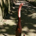  Nokas, , 44  -  24  2015   