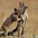 ���� �������, ��������, 63 ���� - ��������� 18 ������� 2015 � ������ ������ ��������