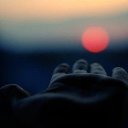 ���� �������, �������, 44 ���� - ��������� 24 ������� 2015 � ������ ���� ����������