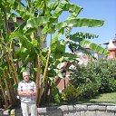  Edgard Nik., , 75  -  1  2015    2014.    