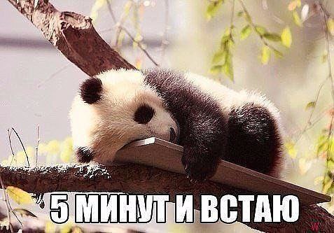   - 5  2015  16:15