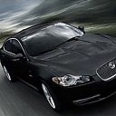 ���� �����, ������, 49 ��� - ��������� 29 ������ 2015 � ������ ������ ��������