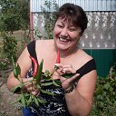 ���� �����, ����-������� - ��������� 1 �������� 2015 � ������ ��� � ������...�