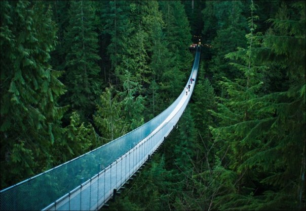     . (Capilano Suspension Bridge)    , ... - 10