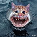 ���� Nik, �����-��������� - ��������� 24 ������ 2015