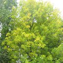  ir@ge))) ))), , 47  -  14  2015    