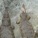���� ��������, ������������ - ��������� 2 ������� 2015 � ������ ������ ��������