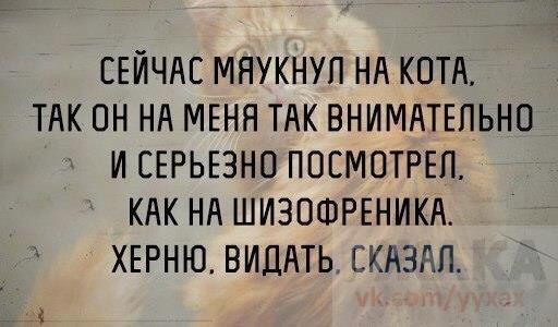     - 15  2015  20:31