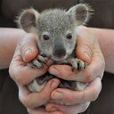 ���� ������, ��������, 53 ���� - ��������� 1 ��� 2015 � ������ ������ ��������