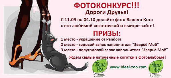Фотоконкурс