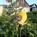  , - -  20  2015    .