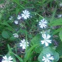  , -, 37  -  19  2015    2015