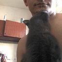 ���� �����, ���������, 33 ���� - ��������� 23 ��� 2015 � ������ ���� ����������