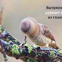 ���� �����, �����-��������� - ��������� 2 �������� 2015 � ������ ������ ��������