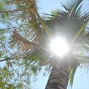    -  ,  -  4  2015   .  2015.  .  10-.