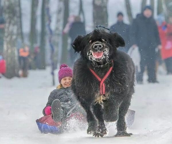     !)