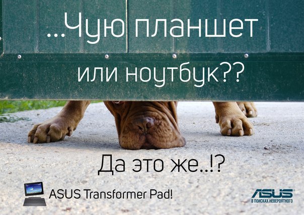      ASUS Transformer Pad.         ...