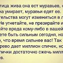 ���� Natali �, ������-��-���� - ��������� 21 ��� 2015 � ������ ���� ����������