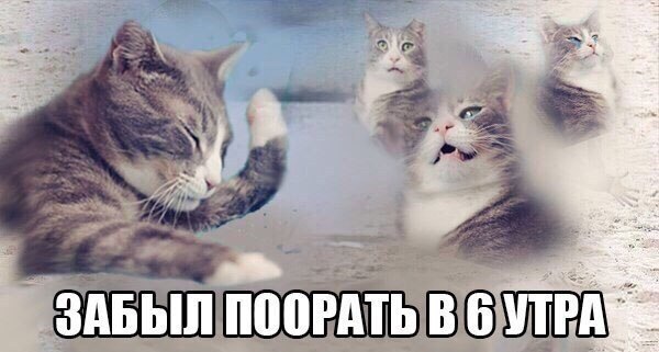       - 7  2015  07:04
