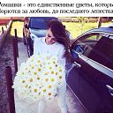 ���� ���������, ����, 59 ��� - ��������� 26 ���� 2015 � ������ ���� ����������