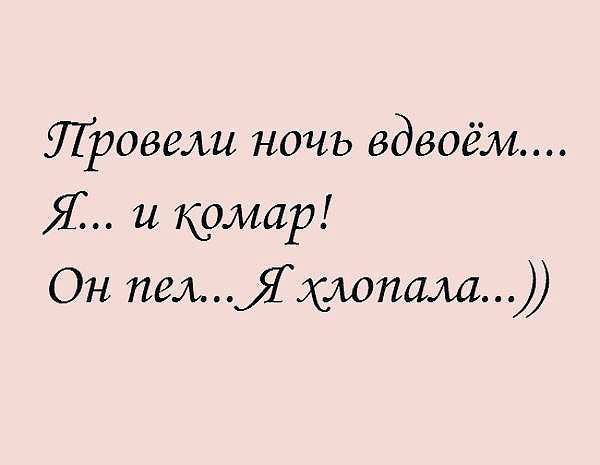    :D - 11  2015  19:01