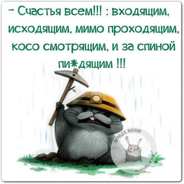BEST | , ,  - 25  2015  11:00