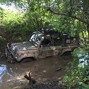 ���� �����, ������, 52 ���� - ��������� 5 ���� 2015 � ������ ���� ����������