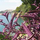 ���� ���������, �����������, 69 ��� - ��������� 21 ������� 2015 � ������ ������������