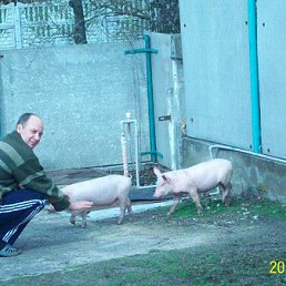 ������, ��������, 49 ���