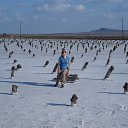 ���� ����, ������� - ��������� 18 ���� 2015 � ������ ������ �����