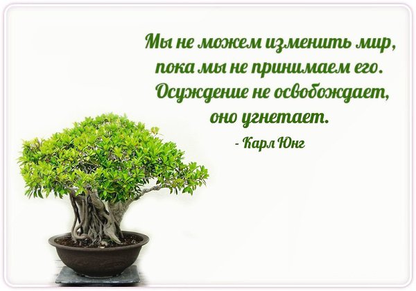  | Yoga - 9  2015  22:28