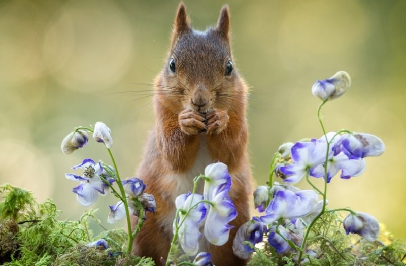  Geert Weggen. - 2