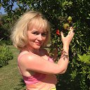 ���� �����, ������ - ��������� 29 ���� 2015