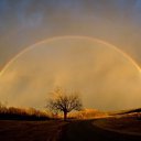 ���� �����, �����, 48 ��� - ��������� 24 ���� 2015 � ������ ��������-����������-�������������Ż