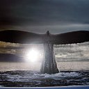 ���� �������, ������, 54 ���� - ��������� 10 ��� 2015 � ������ ���� ���λ