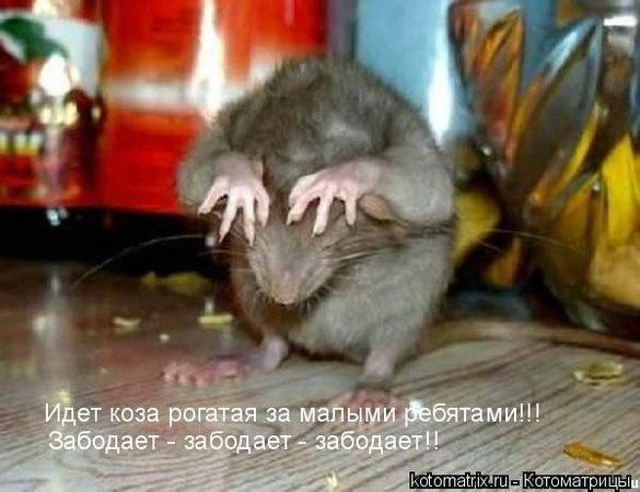  ,    ,         ...