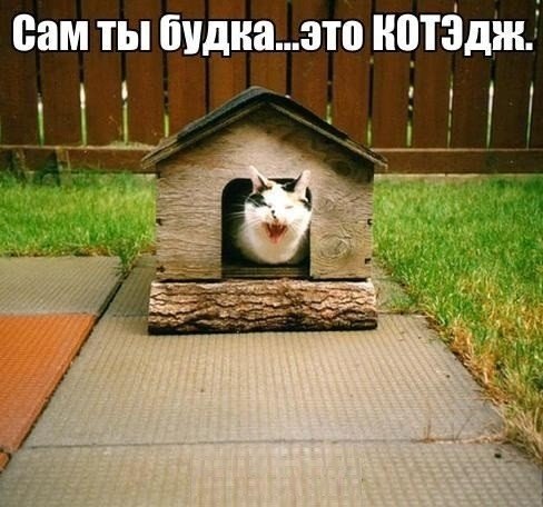 ������������ ���� - 3 ���� 2015 � 22:13