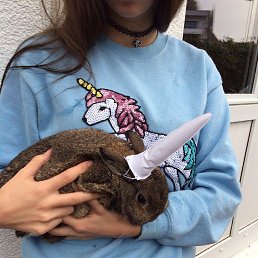 ����, ������, 48 ���