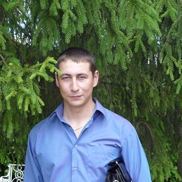 �������, �����-���������, 40 ���