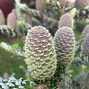 ����� ��������� �� ������� ���� ����������