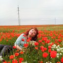  , , 46  -  11  2015   ,  !