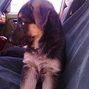 ���� ������, ���������, 57 ��� - ��������� 2 ���� 2015 � ������ ����������������