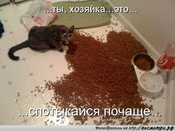       - 3  2015  23:55
