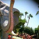 ���� ���������, ��������, 57 ��� - ��������� 8 ������� 2015 � ������ ���� ����������