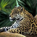  Elena....,  -  26  2015    