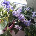 ���� Sergey, ������������, 71 ��� - ��������� 19 �������� 2015 � ������ ���� ����������