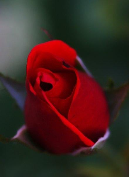 ...�����-����� ��� - 3