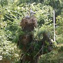 ���� �����, ������ - ��������� 13 ������� 2015 � ������ ���� ����������