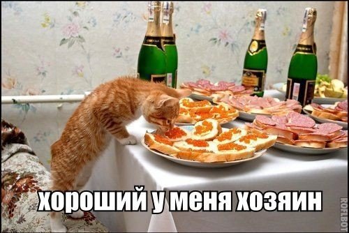 ������������ ���� - 3 ���� 2015 � 22:12